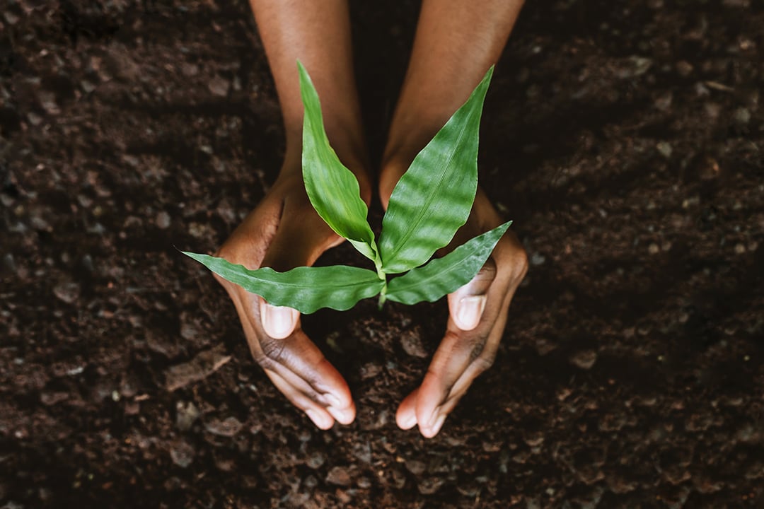 Poems of Perseverance: A Juneteenth Reflection...