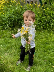 Small child holding a handful of wildflowers